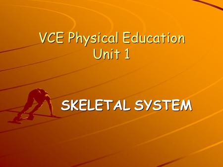 VCE Physical Education Unit 1 SKELETAL SYSTEM Human Skeleton.