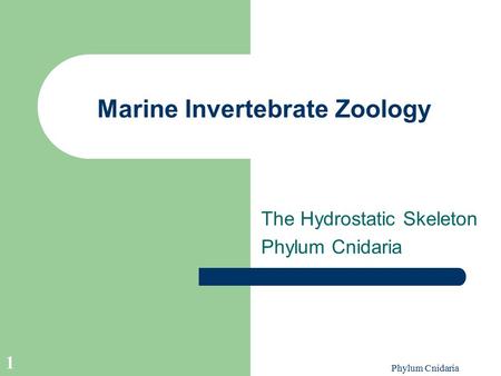 Marine Invertebrate Zoology