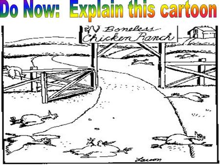 Read Contractual Obligations Muscle System  List several ways the muscular system assist you in your everyday life.  How many muscle does a human have?