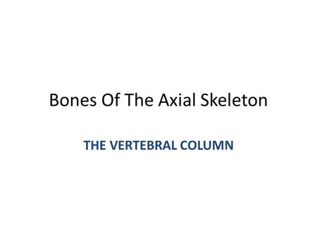 Bones Of The Axial Skeleton