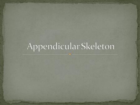 Appendicular Skeleton