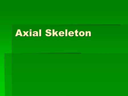 Axial Skeleton.