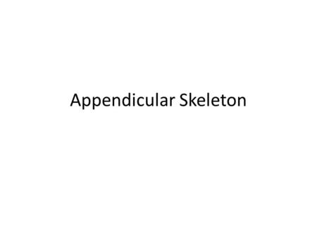 Appendicular Skeleton