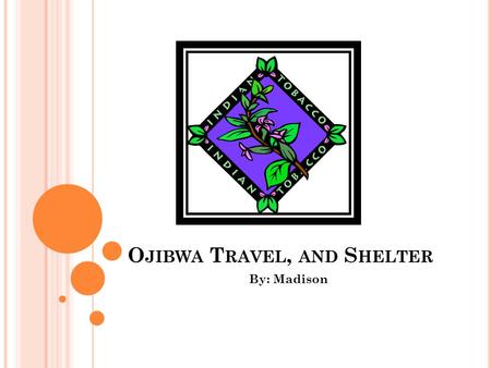 O JIBWA T RAVEL, AND S HELTER By: Madison. H OW O JIBWA A DAPTED TO THEIR E NVIRONMENT Ojibwa people adapted to their environment by making canoes. and.