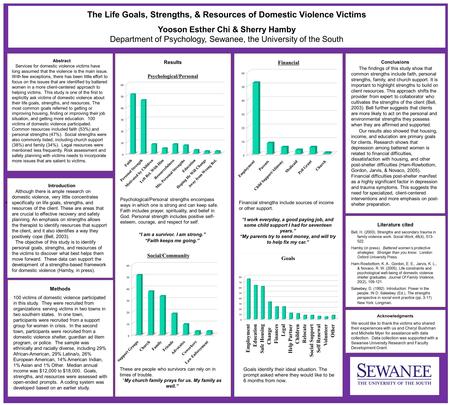 “I am a survivor. I am strong.” Introduction Although there is ample research on domestic violence, very little concentrates specifically on life goals,