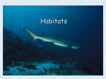 Habitats.