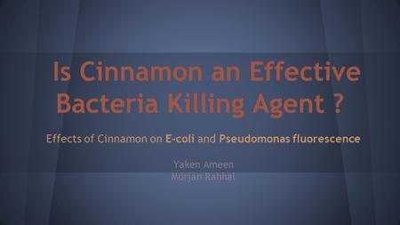 Is Cinnamon an Effective Bacteria Killing Agent ?