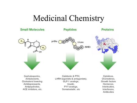 Medicinal Chemistry. But First – Some Flowers 15 th Century Turkish Tulip.