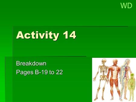 Activity 14 Breakdown Pages B-19 to 22 WD. Main Ideas  Graphing data can reveal patterns that are not apparent from data tables.  Each system within.