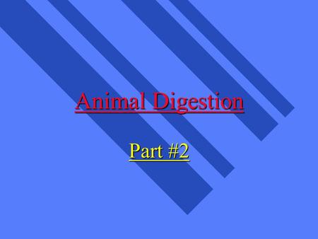 Animal Digestion Part #2. What are Nutrients? n parts of food which provide for growth, maintenance, body functions n Carbohydrates (CHO) n Fats n Proteins.