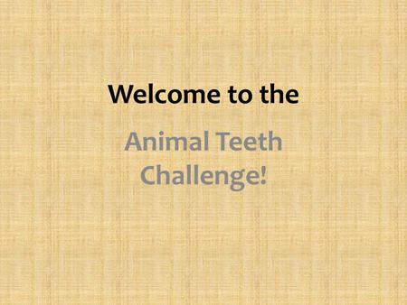 Welcome to the Animal Teeth Challenge!. Draw this table in your IC Notebook: