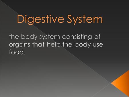  Breaks down food into small parts mechanical (physical) & chemical (acids & enzymes) digestion.  release food into blood stream for distribution (via.