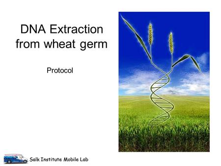 Salk Institute Mobile Lab DNA Extraction from wheat germ Protocol Salk Institute Mobile Lab.