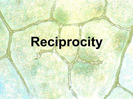 Reciprocity. The Rule of Reciprocity Using the rule of reciprocity is the key to being a pro photographer. Your camera meter may indicate an exposure.