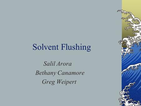 Solvent Flushing Salil Arora Bethany Canamore Greg Weipert.