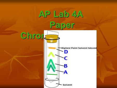 AP Lab 4A Paper Chromatography. - technique that separates molecules from each other.