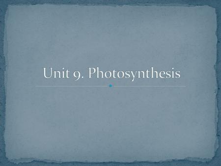 Plants utilize the sun energy in a process called photosynthesis. The chloroplasts in the plant leaves harness that light and convert it into chemical.