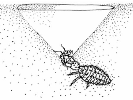 Reversing the unsustainability spiral Guido van Hofwegen, Gertjan Becx, Joep van den Broek and Niek Koning A modeling study of the co-evolution of population,