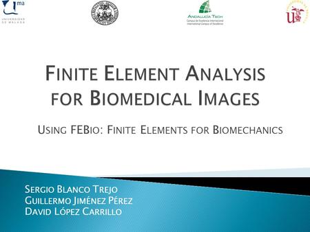 U SING FEB IO : F INITE E LEMENTS FOR B IOMECHANICS S ERGIO B LANCO T REJO G UILLERMO J IMÉNEZ P ÉREZ D AVID L ÓPEZ C ARRILLO.