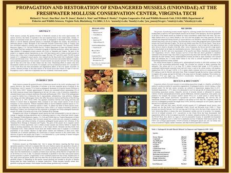 Table 1. Endangered Juvenile Mussels Released in Tennessee and Virginia in 1998 - 2006 Species: Oyster Mussel 288,949 Combshell 160,573 Tan Riffleshell.