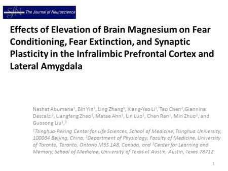 Effects of Elevation of Brain Magnesium on Fear Conditioning, Fear Extinction, and Synaptic Plasticity in the Infralimbic Prefrontal Cortex and Lateral.