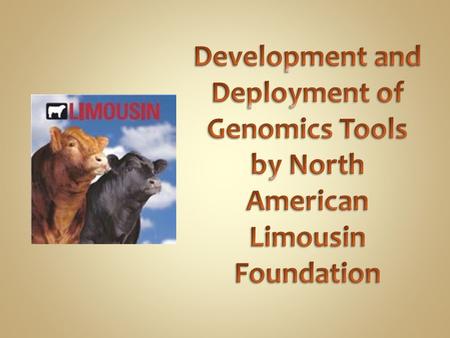 Develop 50K prediction equation suitable for estimation of Molecular Breeding Values (MBV) for Limousin and LimFlex (hybrid) animals Use 50K imputed genotypes.