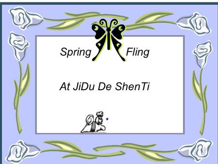 SpringFling At JiDu De ShenTi. President’s Day Question? What do Shih Tzu have to do with President’s Day? Feb. 12 Cubby Answer: Nothing at all !!