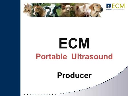 ECM Portable Ultrasound Producer. Not only for pregnancy control…