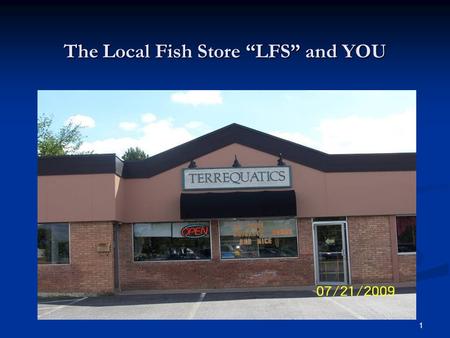 1 The Local Fish Store “LFS” and YOU. 2 A Presentation for The Angelfish Society by Charles Hawks July 19, 2009.