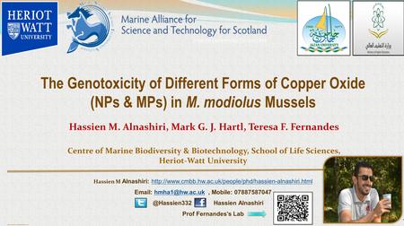 Poster template by ResearchPosters.co.za The Genotoxicity of Different Forms of Copper Oxide (NPs & MPs) in M. modiolus Mussels Hassien M. Alnashiri, Mark.