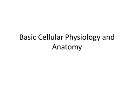 Basic Cellular Physiology and Anatomy. The Breakdown of Organic Molecules Takes the Place in Sequences of Enzyme-catalized Reactions While your textbook.