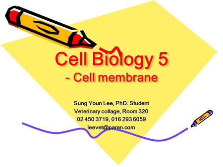 Cell Biology 5 - Cell membrane Sung Youn Lee, PhD. Student Veterinary collage, Room 320 02 450 3719, 016 293 6059