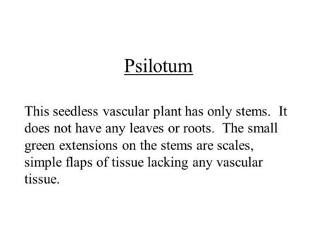 Psilotum This seedless vascular plant has only stems. It does not have any leaves or roots. The small green extensions on the stems are scales, simple.