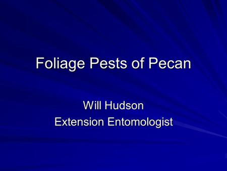 Foliage Pests of Pecan Will Hudson Extension Entomologist.