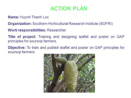 Name: Huynh Thanh Loc Organization: Southern Horticultural Research Institute (SOFRI) Work responsibilities: Researcher Title of project: Training and.