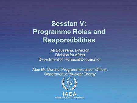 Session V: Programme Roles and Responsibilities