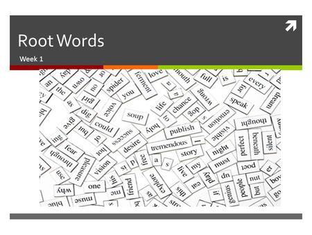 Root Words Week 1.