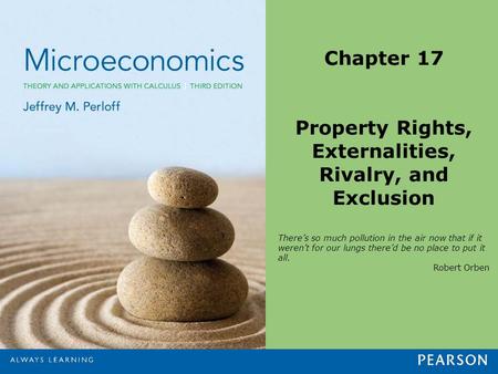 Chapter 17 Property Rights, Externalities, Rivalry, and Exclusion