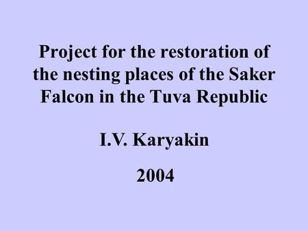 Project for the restoration of the nesting places of the Saker Falcon in the Tuva Republic I.V. Karyakin 2004.