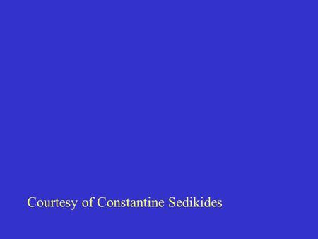 Courtesy of Constantine Sedikides. “... it is a mistake to consider the processes in social psychology as basic in the natural science sense. Rather,