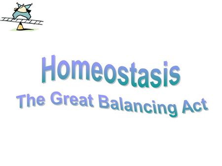 A Body in Balance Maintains constant body temperature Maintains the level of glucose in the blood Maintains the level of salt, water and sugar in the.