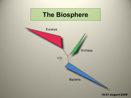 18-21 August 2009 The Biosphere. 18-21 August 2009 Secondary structure of small subunit ribosomal RNA 5' end 3' end Image adapted from R. Gutell