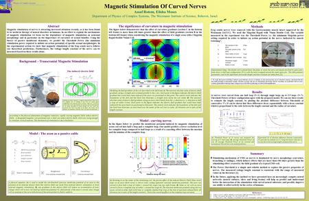 Magnetic Stimulation Of Curved Nerves Assaf Rotem, Elisha Moses Department of Physics of Complex Systems, The Weizmann Institute of Science, Rehovot, Israel.