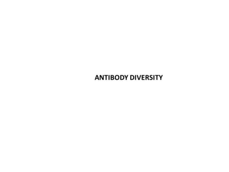 ANTIBODY DIVERSITY.