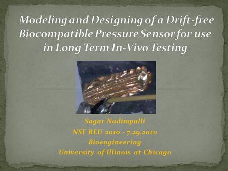 Sagar Nadimpalli NSF REU 2010 - 7.29.2010 Bioengineering University of Illinois at Chicago.