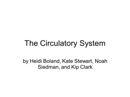 The Circulatory System by Heidi Boland, Kate Stewart, Noah Siedman, and Kip Clark.