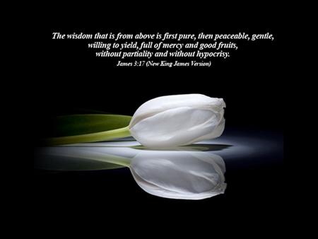 with regard to the application of such 1. The quality of having experience, knowledge, 	and good judgment; the quality of being wise. 2. The soundness.