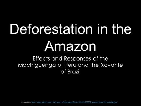 Deforestation in the Amazon Effects and Responses of the Machiguenga of Peru and the Xavante of Brazil Picture from: