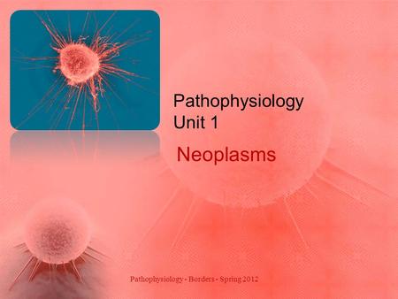 Pathophysiology - Borders - Spring 2012