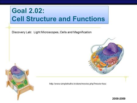 AP Biology 2008-2009  Discovery Lab: Light Microscopes, Cells and Magnification.